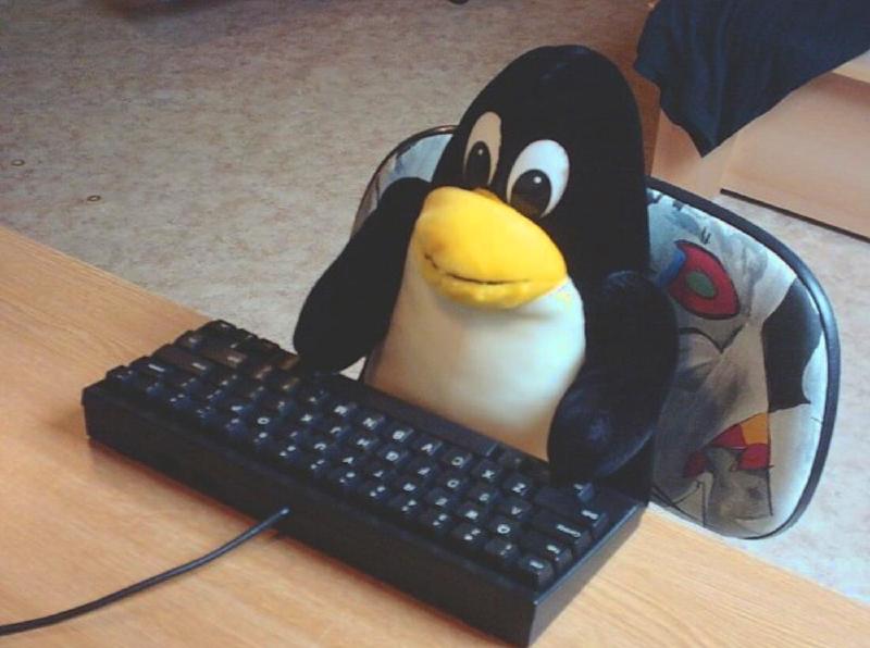 Tux che lavora al computer